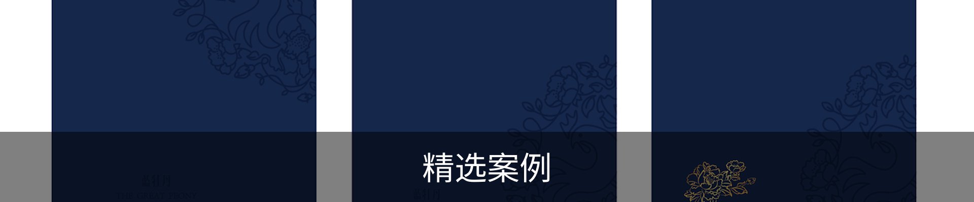精选案例